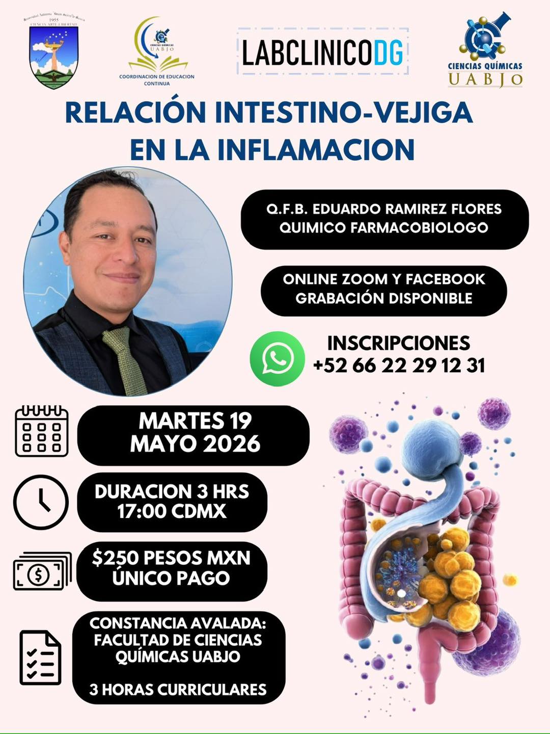 Flyer: Relación Intestino-Vejiga en la Inflamación