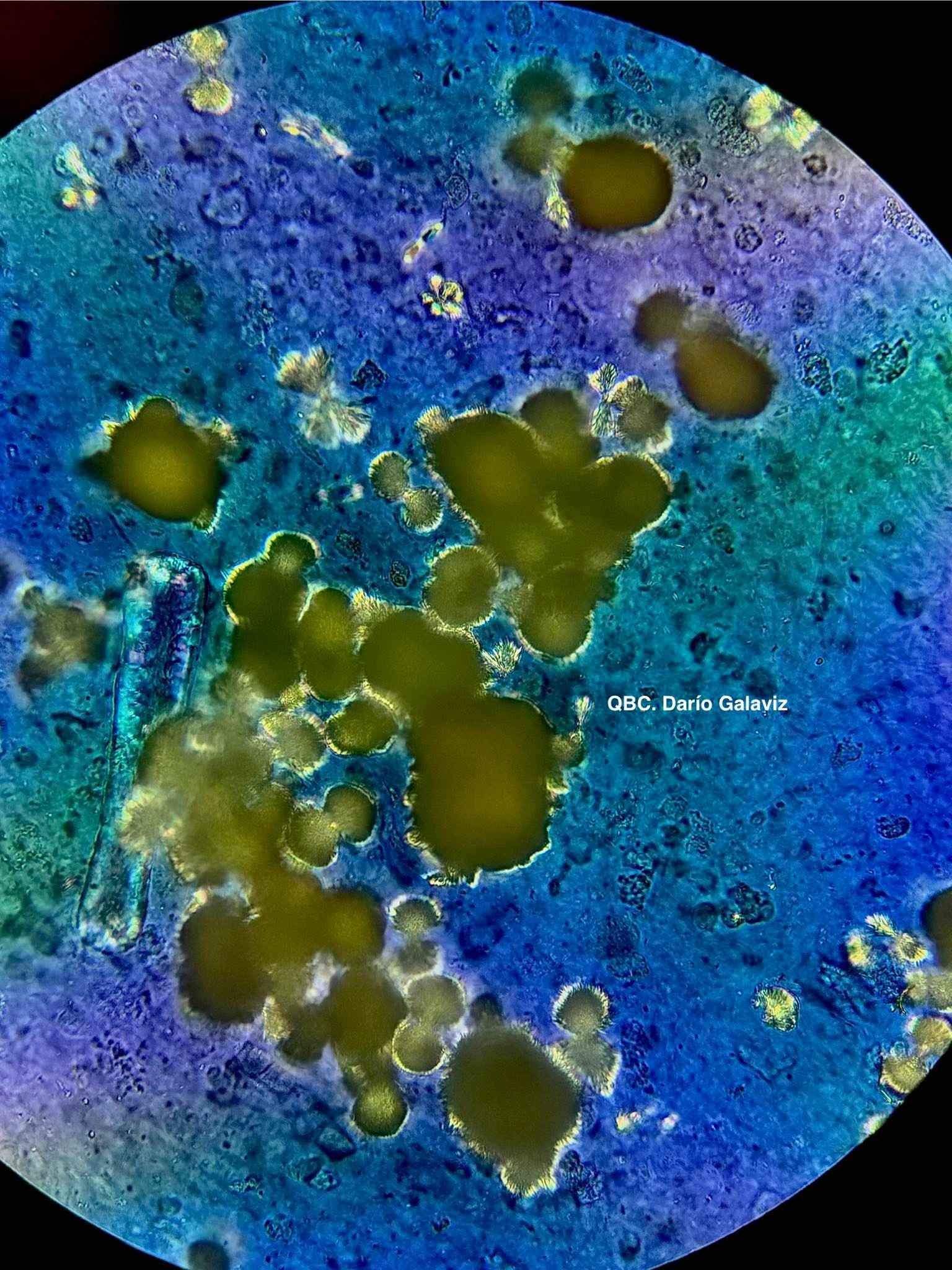 CRISTALES