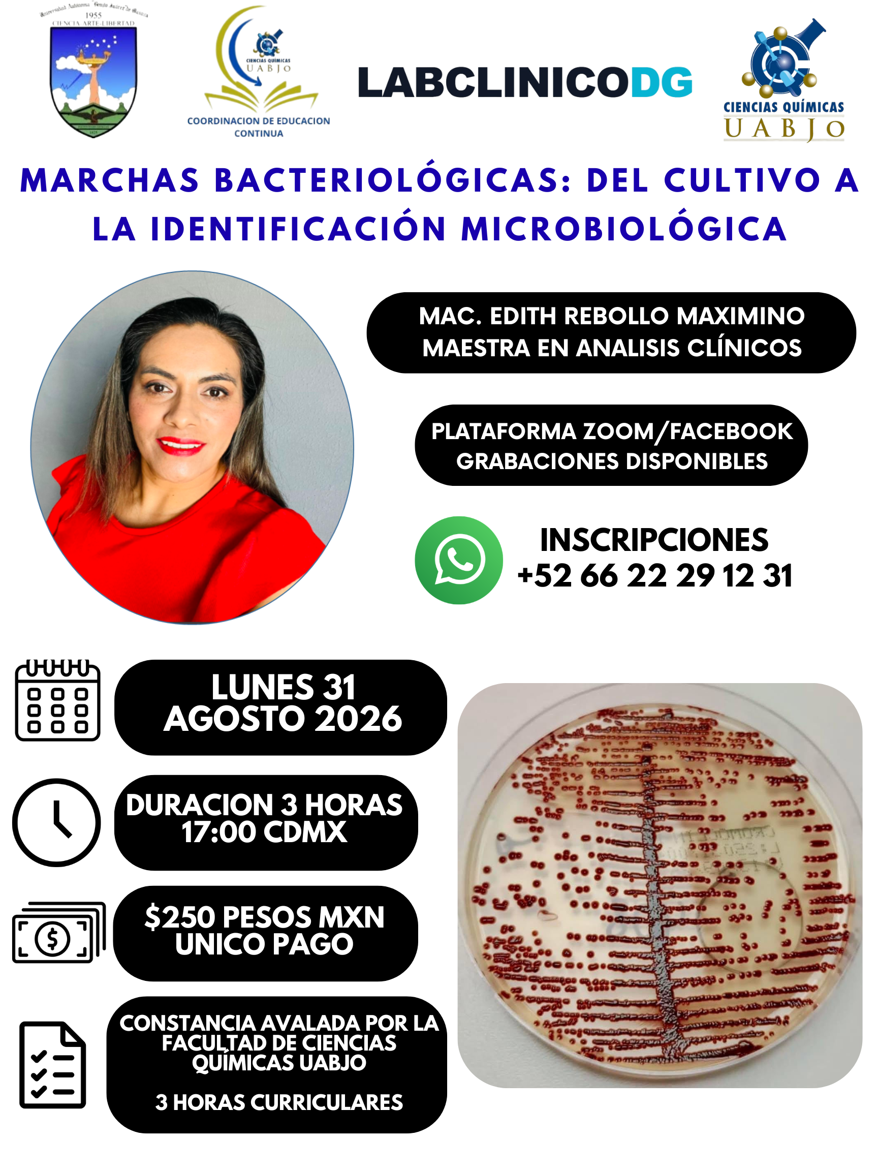 Flyer: Marchas bacteriológicas: del cultivo a la identificación microbiológica